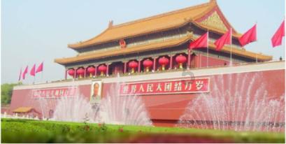 逃出茂密的丛林